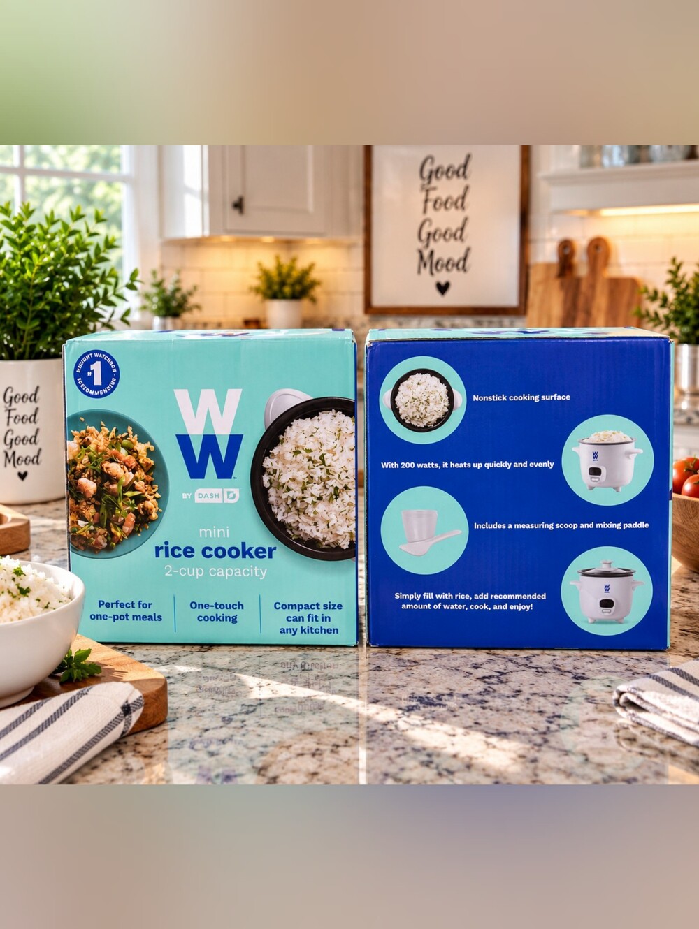 Ash Mini Rice Cooker - Aqua and Blue